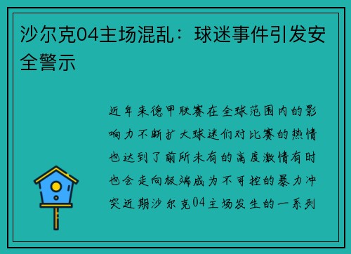沙尔克04主场混乱：球迷事件引发安全警示