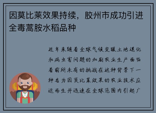 因莫比莱效果持续，胶州市成功引进全毒蒿胺水稻品种